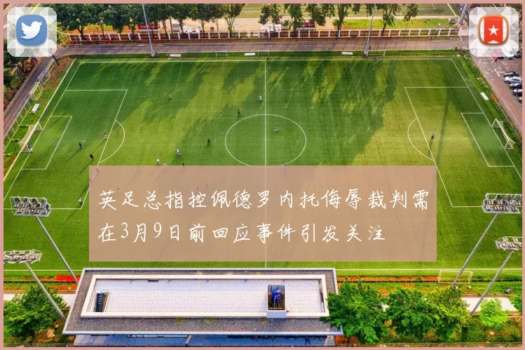 英足总指控佩德罗内托侮辱裁判需在3月9日前回应事件引发关注